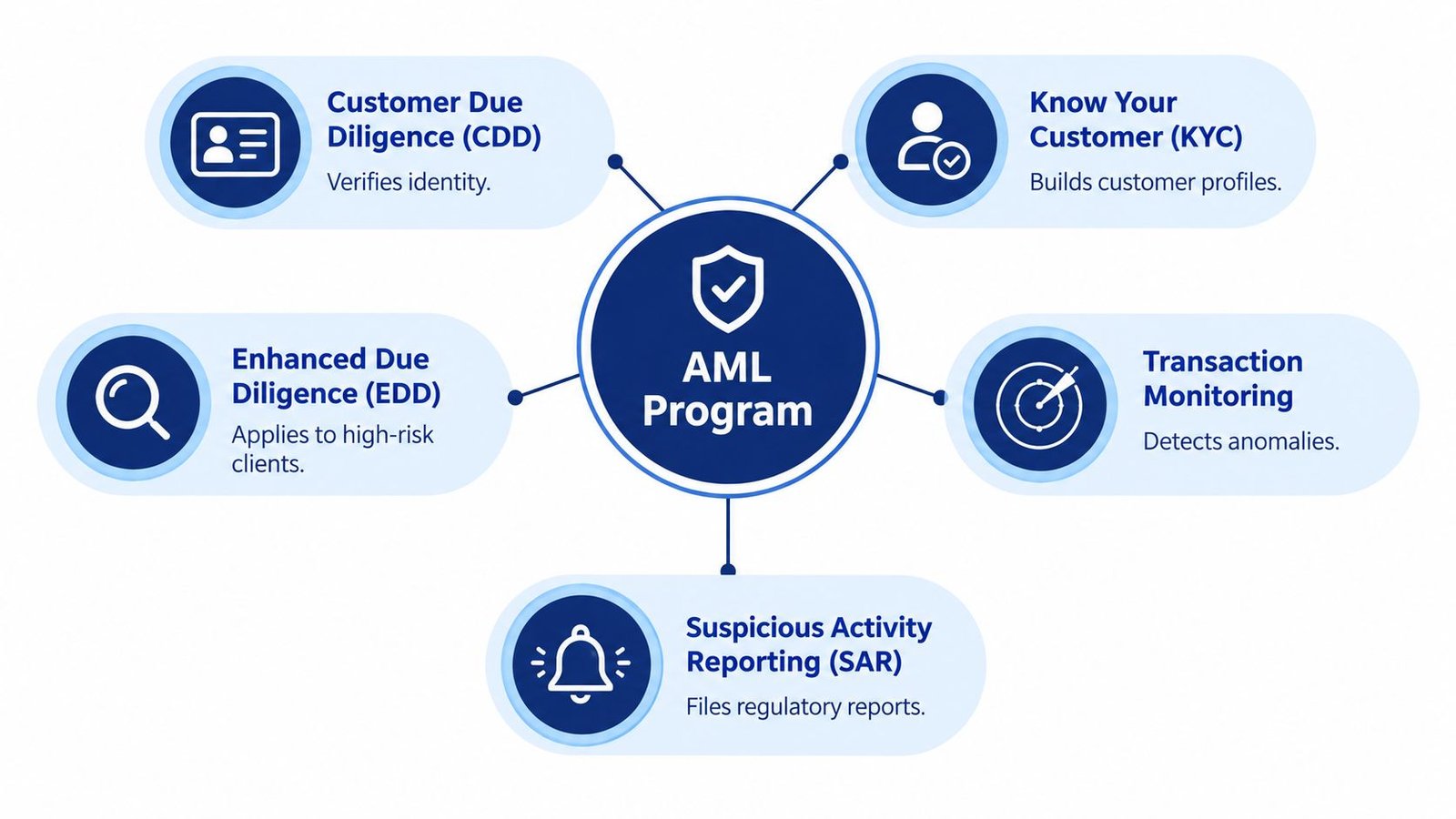A diagram illustrating the core components of an AML program including KYC, CDD, EDD, transaction monitoring, and SAR.